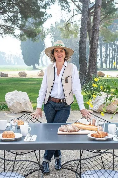 Mas Mandine, En Provence Villa Arles Holiday home